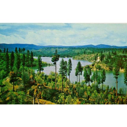 Lake Britton Near Burney Falls State Park Northern California 1959 Postcard A2