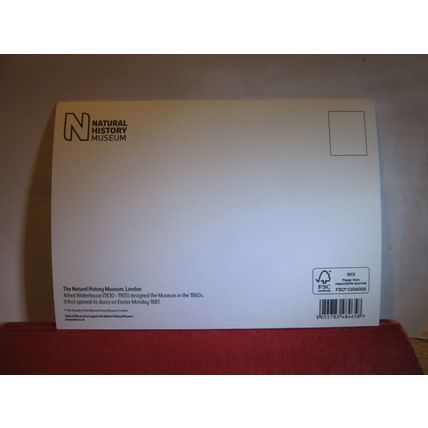 NATURAL HISTORY MUSEUM, LONDON unused modern postcard #