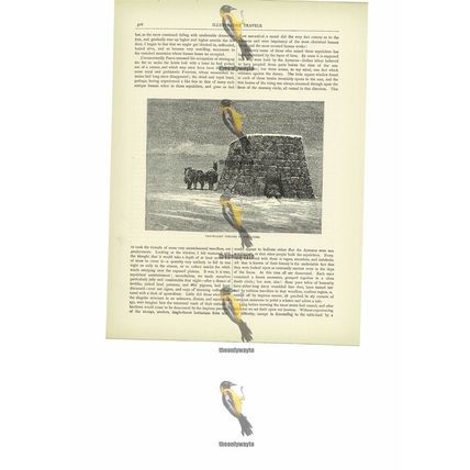 Travellers Shelter In The Andes, Peru, Book Illustration (Print), c1880