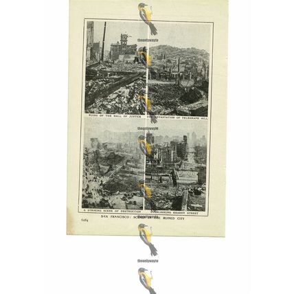 San Francisco, 4 Scenes Of The Ruined City, USA, Book Illustration (Print), 1909