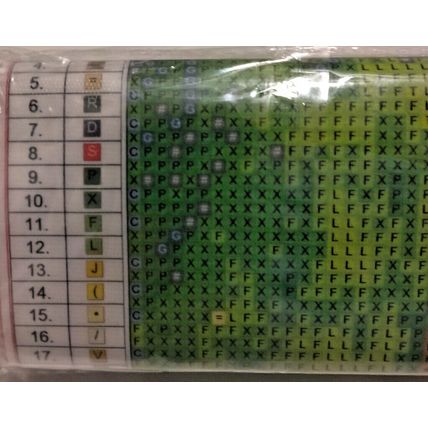 Pokemon TOPITOP Diamond Painting Kit 30 x 40 Pikachu & Eevie Brand New!