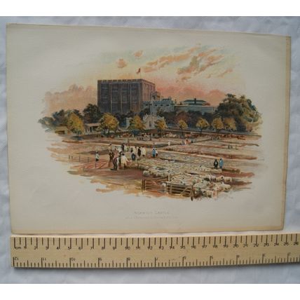 Vintage: coloured engraving - Norwich Castle