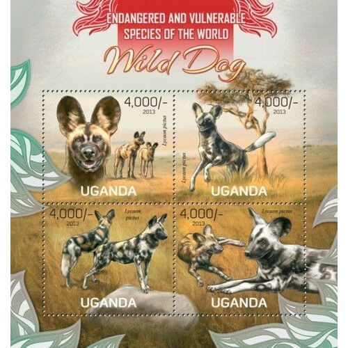 UGANDA 2013 SHEET MNH WILDLIFE WILD DOGS WILDE HUNDEN CANI SELVATICI CHIENS 2