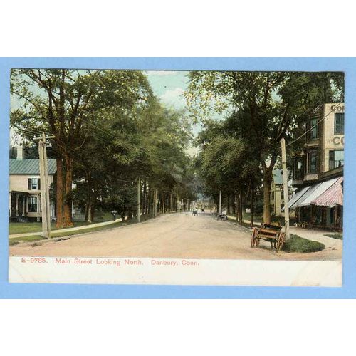 CT Danbury Main St Looking North Tree Lined Unpaved Road w/Old Buildings H~446