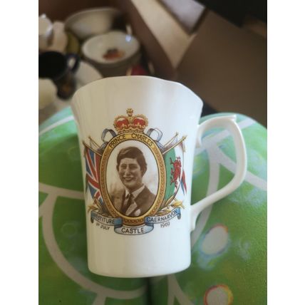 Prince Charles Investiture Mug