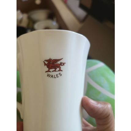 Prince Charles Investiture Mug