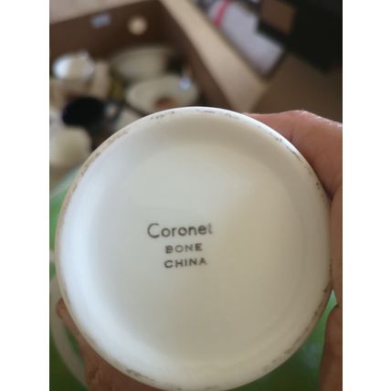 Prince Charles Investiture Mug