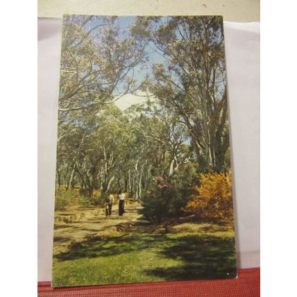 RANGER, BOTANIC GARDENS, CANBERRA, AUSTRALIA unused postcard =