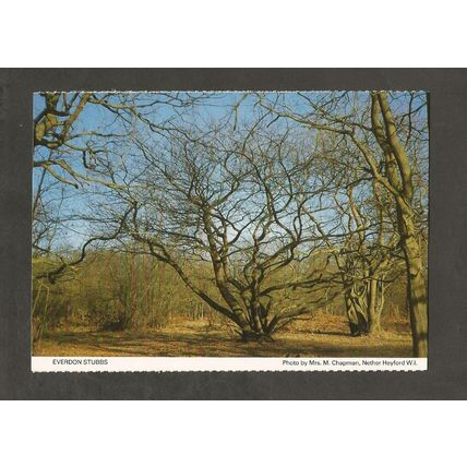 Postcard Northamptonshire Everdon Stubbs