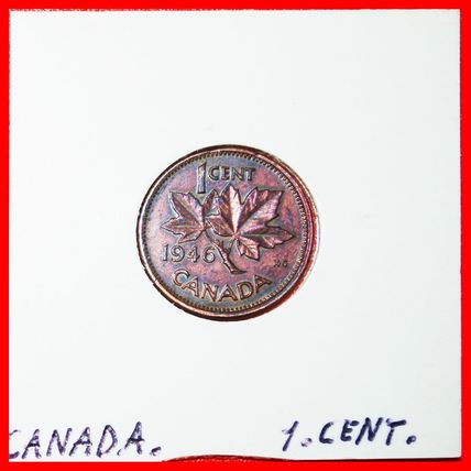 Ⰶ WITH INDIA (1937-1947):CANADA★1 CENT 1946! IN HOLDER★LOW START★NO RESERVE