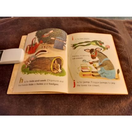 Chipmunk's By Roberta Miller (C) Edition 1969