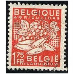 1948/1949 Michel 807 - fine used (o)