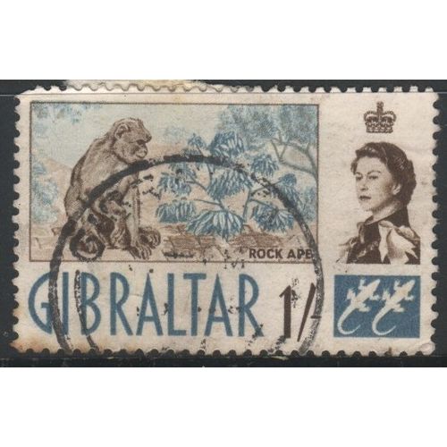 Gibraltar 1960 - SG169 - 1/- brown & green - Barbary Apes - used