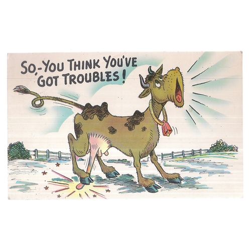 American humour, unused vintage USA postcard Cow teats...
