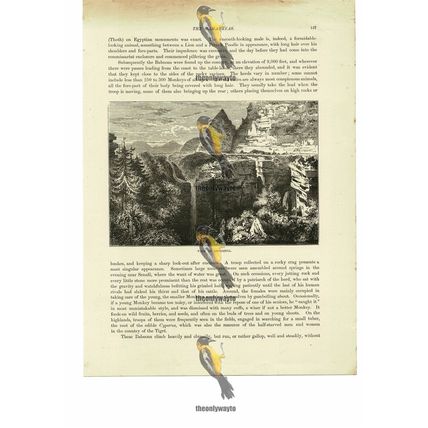View In Abyssinia (Ethiopia), Book Illustration (Print), 1884