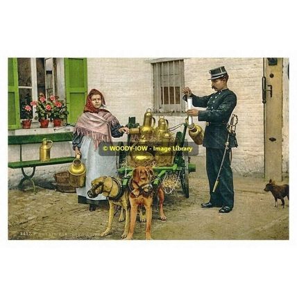rp13719 - Dog Milk Cart & Policeman , Brussels , Belgium - print 6x4