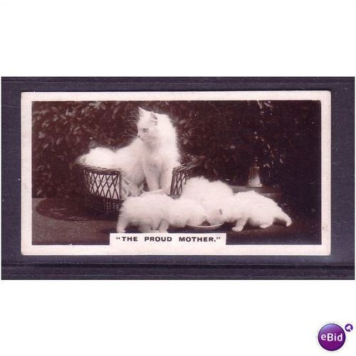 De Reszke Real Photographs card No. 10 The Proud Mother Good Condition