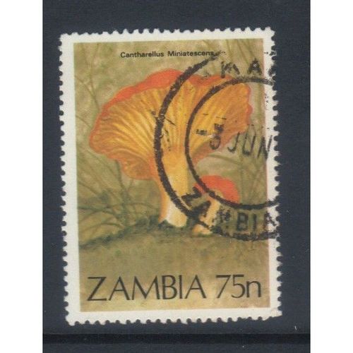 ZAMBIA 1984 FUNGHI 75N USED