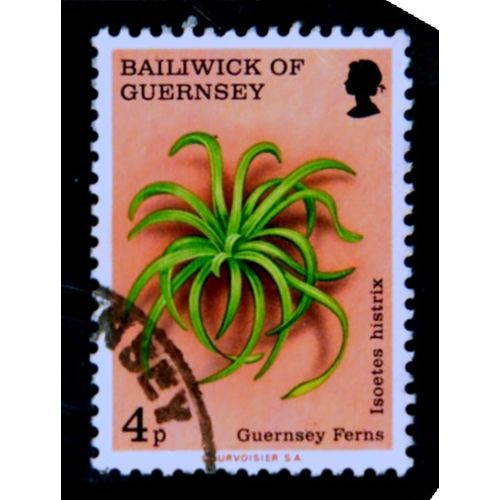 GUERNSEY 1975 SG 123 4p GUERNSEY FERNS SAND QUILLWORT FINE USED #
