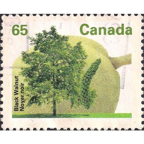 CANADA, FLOWERS, Black Walnut, green 1991, 65c