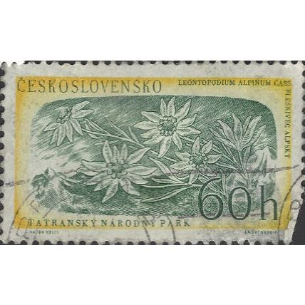 CZECHOSLOVAKIA, FLOWER, Edelweis, Leontopodium, green & yellow 1957, 27mm, #3