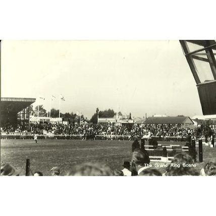 Yorkshire HARROGATE Yorkshire Show Grand Ring Postcard