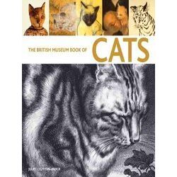 The British Museum Book Of Cats