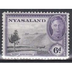 Nyasaland 1945 6d Tea Estate SG 150 U/Mint.