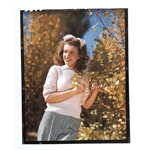 Marilyn Monroe vintage print Apple Blossom poster Playboy Man Gift Wall Art b