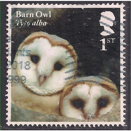 GB 2018 QE2 1st Owls ' Barn Baby ' used SG 4087 ( D1405 )
