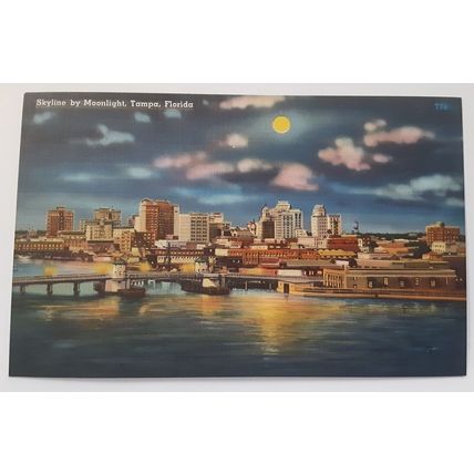 Moonlight Tampa Skyline Linen Postcard Mid Century Florida FL Vintage Unused
