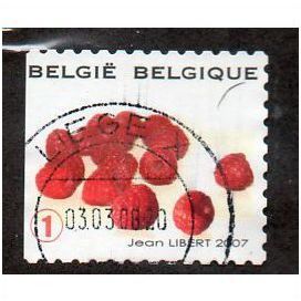 BEL 2007 (52c)(S/A) 'FRUIT- RASPBERRIES' FINE USED (EBID10410)