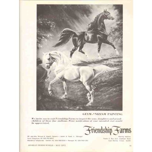 friendship farms 1972 geym nizzam arabian horse painting vintage ad