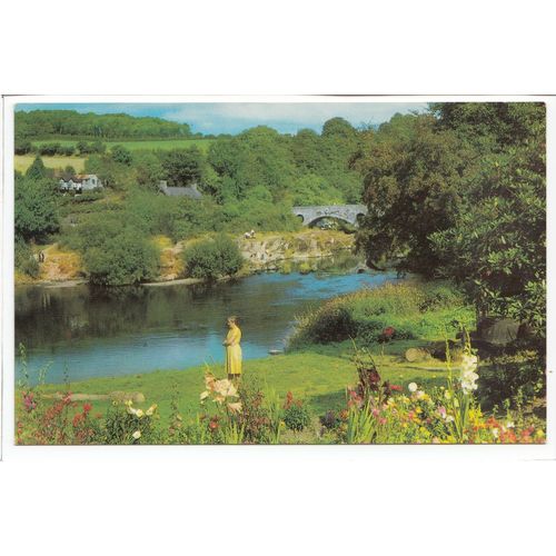 River Teifi Cenarth Carmarthenshire Postcard 23653