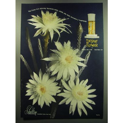 1949 Shulton Desert Flower Perfume Ad - Who finds this mystery blooming here
