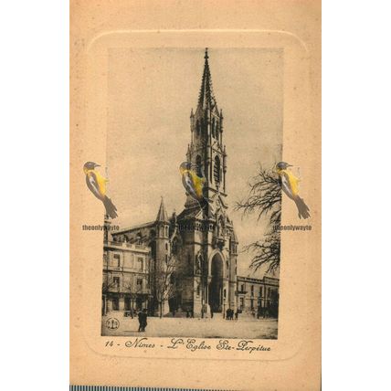 Nimes, L'Eglise Ste Perpetue, France, 14 FG Postcard, 1920s