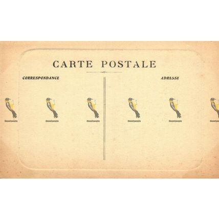 Nimes, L'Eglise Ste Perpetue, France, 14 FG Postcard, 1920s