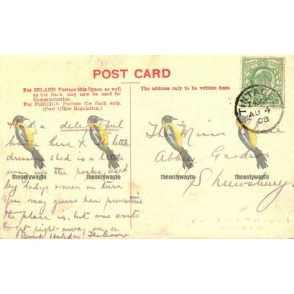 Entrance To Harbour, Boscastle, Cornwall, Postcard, 1908