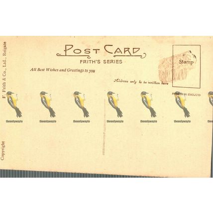 Pretty Gates of Chirk Castle, Wales, Friths Postcard, 1910/20s