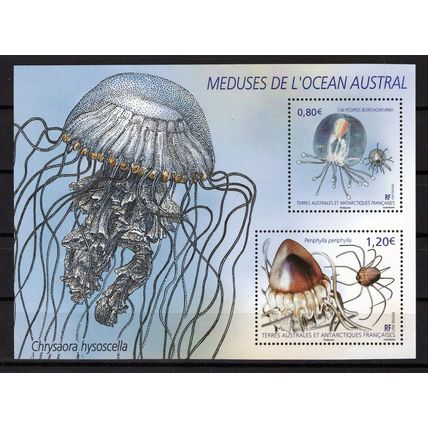 FSAT TAAF 653 MNH Jellyfish Marine Life Antarctica ZAYIX FSA-L0029