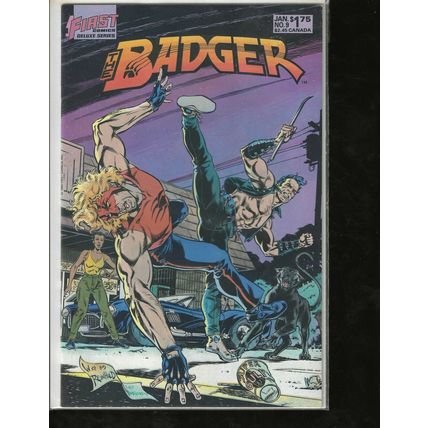 The Badger, #9, First Comic, Mid Grade