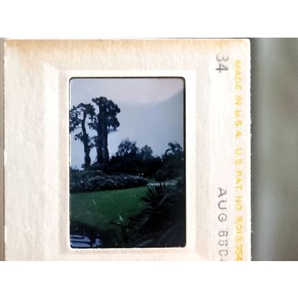 Vintage 60s Analogue Kodachrome Photo Slide, American Scenery Landscape Garden