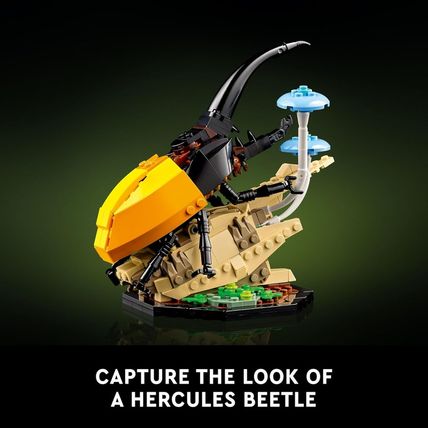 LEGO Ideas the Insect Collection - Collectible Model Building Kit for Adults, Ag