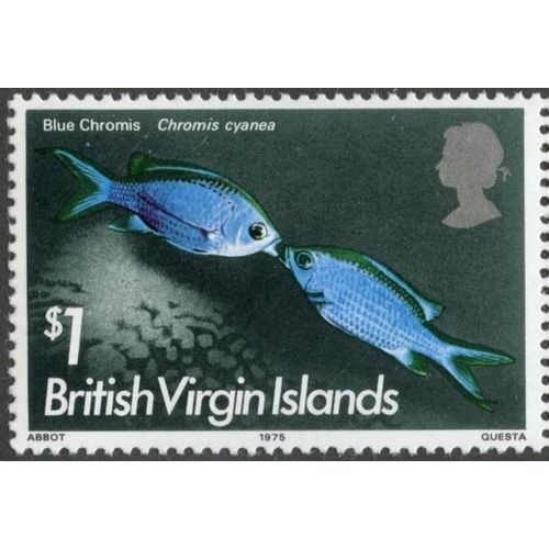 BVI Virgin 1975 Fish $1 Blue Chromis Unmounted Mint NHM SG 343 Sc 297 Stamp