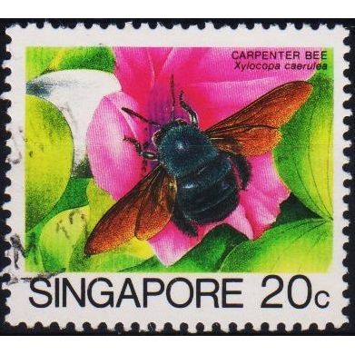 Singapore. 1985 20c S.G.494 Used