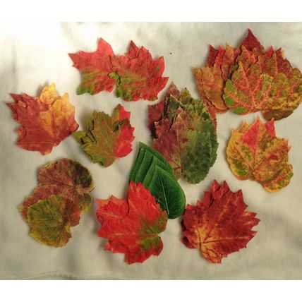 Artifical Fake Silk Leaves Parts Autumn Fall over 60 Pcs Scrap books Crafting