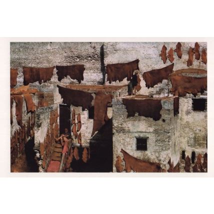 Sidi Moussa Baraki District Algeria Fez Tannery Morocco Postcard
