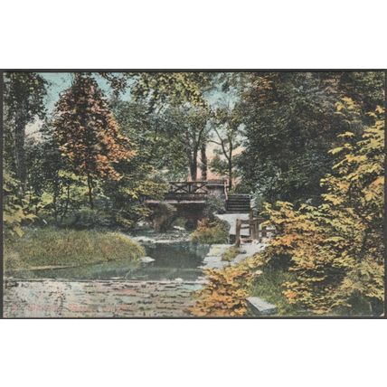 In Whiteley Woods, Sheffield, Yorkshire, c.1905 - Valentine's Postcard