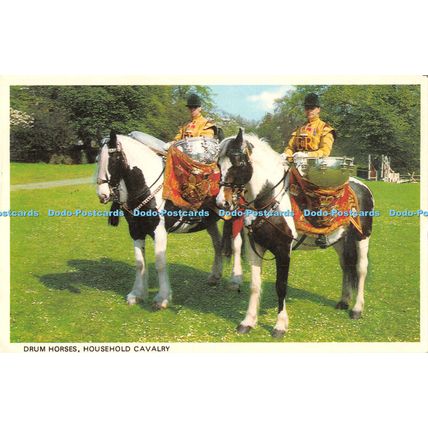 D028403 Drum Horses. Household Cavalry. London. Colourmaster International. Prec