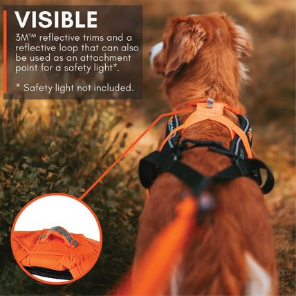 Non-Stop Dogwear Freemotion Harness 5.0 Dog Pulling Harness for Sports like Runn